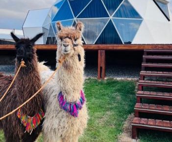 Double Room with Mountain View