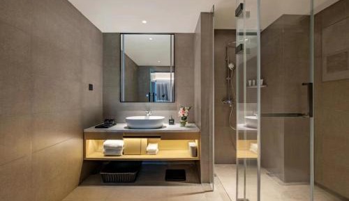 Premium Suite with King Bed