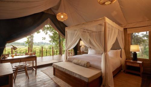 Canopy Tented Studio