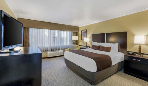 King Room - Non-Smoking
