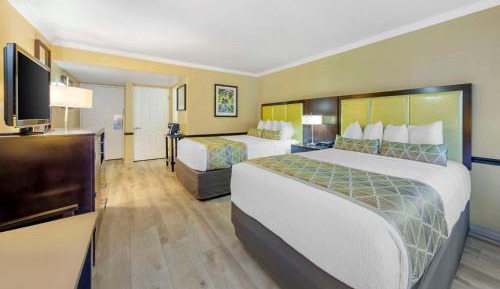 Queen Room with Two Queen Beds - Non-Smoking