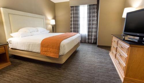 King Suite with Sofa Bed