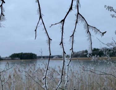 Three-Bedroom Chalet
