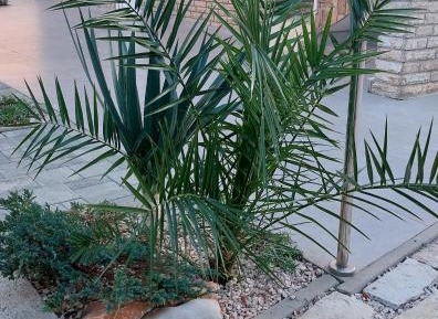 Apartment with Terrace