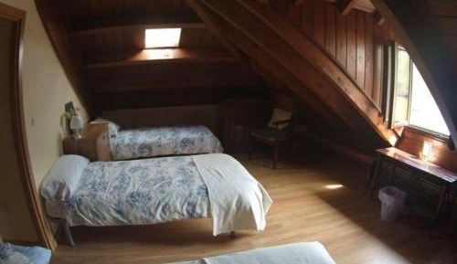 Bed in 4-Bed Dormitory Room