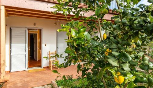 King Room - Disability Access