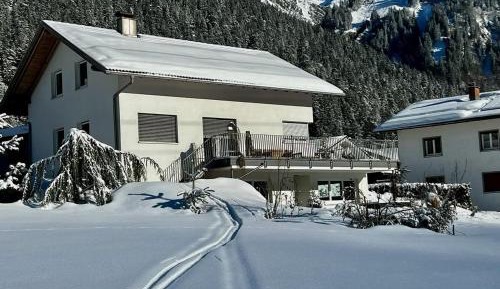 One-Bedroom Apartment with Shower