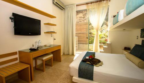 Double Room with Mountain View