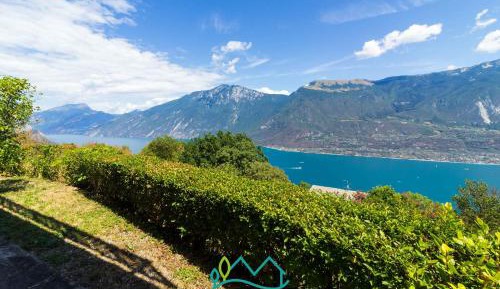 Two-Bedroom Superior Apartment