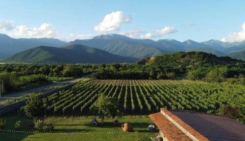 Double Room with Mountain View