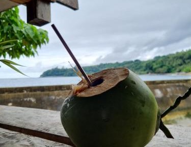 Bed in 4-Bed Mixed Dormitory Room