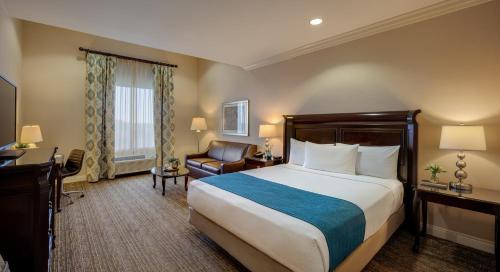 King Studio Suite with Sofa Bed