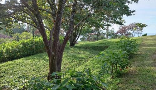 Empty pitch for tent
