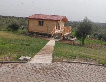 One-Bedroom Bungalow