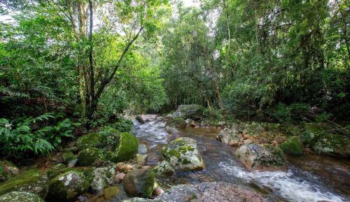 Villa with Garden View