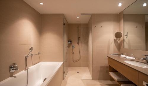 Superior Double Room with Lake View