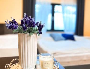 Mixed Dormitory Room