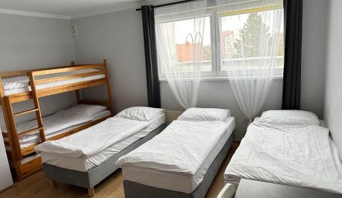 6-Bed Mixed Dormitory Room
