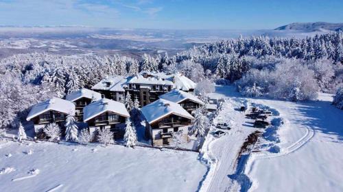One-Bedroom Apartment (4 Adults)