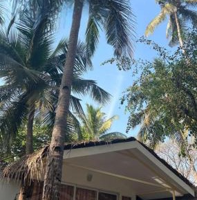 Double Room with Garden View