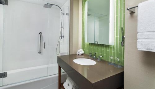 Traditional, Guest room, 1 King