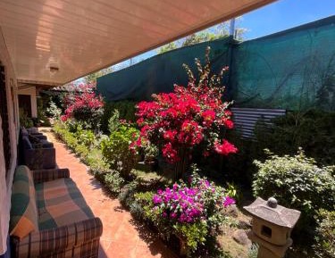 Single Room with Private Bathroom