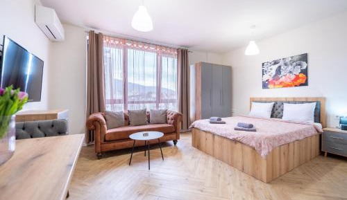 Superior Studio with Mountain View