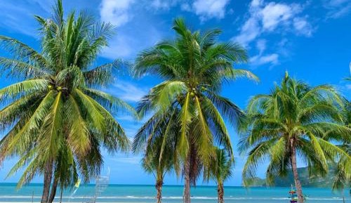 Double Room with Pool View