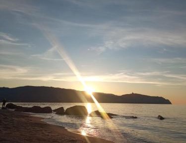 Apartment with Garden View
