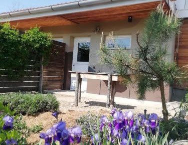 Queen Room with Garden View