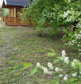 Quadruple Room with Terrace