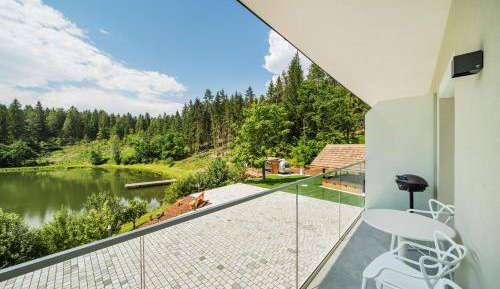 Apartment with Lake View