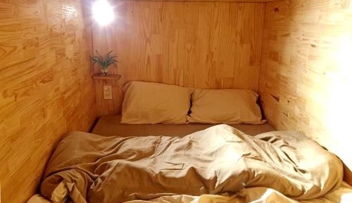 Bunk Bed in Mixed Dormitory Room