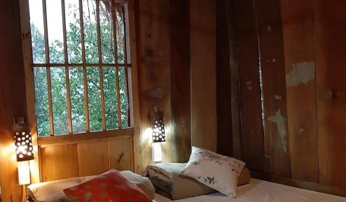 Bunk Bed in Mixed Dormitory Room