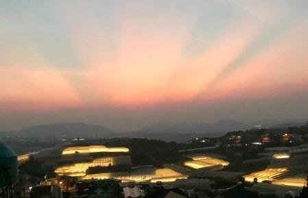 One-Bedroom Apartment with Balcony