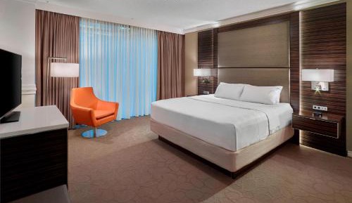 One-Bedroom King Suite