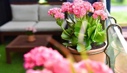 King Room with Mountain View