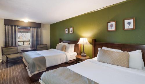 Traditional Double Room, 2 Queen Beds