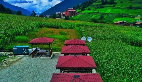 Studio with Mountain View