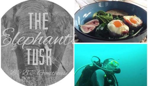 King Studio with Sofa Bed