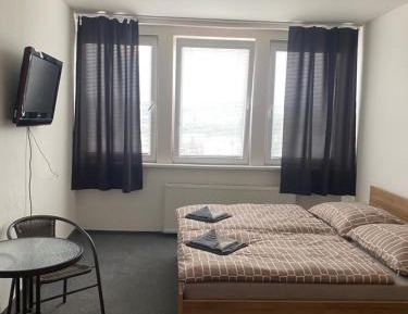 Large Double or Twin Room