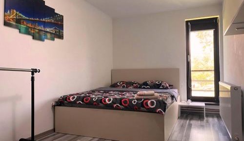 Double Room with Shared Bathroom