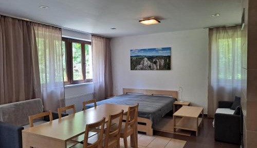 King Studio with Sofa Bed