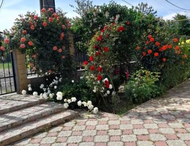 Three-Bedroom Townhouse