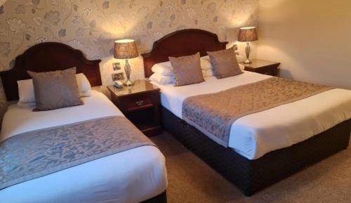 Twin Room - Room Only