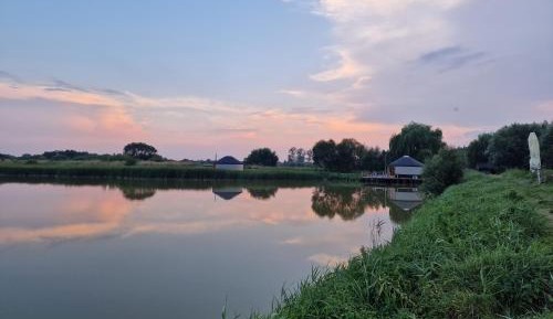 Bungalow - Water Front 