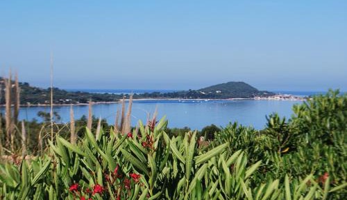 Studio with Sea View