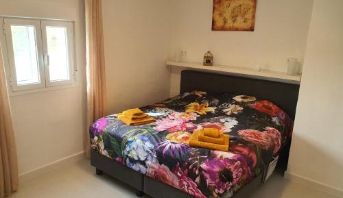 King Room with Mountain View