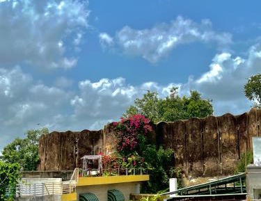 Single Room with Shared Bathroom