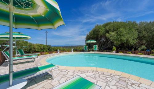 Superior One-Bedroom Apartment